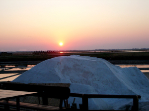 saline di cervia